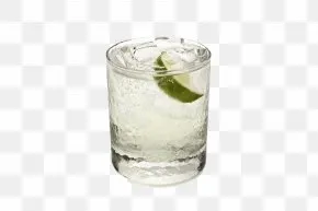 Gin Tonic
